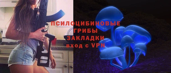 ПСИЛОЦИБИНОВЫЕ ГРИБЫ Белокуриха