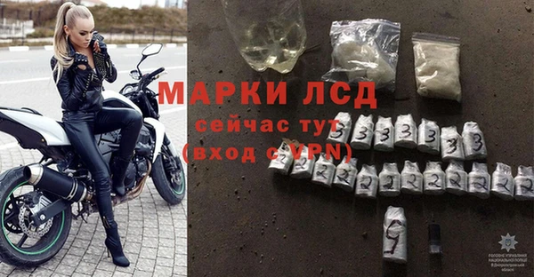 ПСИЛОЦИБИНОВЫЕ ГРИБЫ Белокуриха