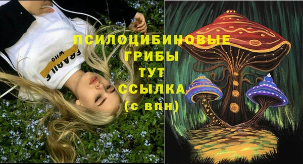стафф Беломорск